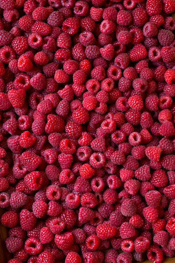 Sparkling Raspberry Lemonade - Cooking Classy.jpg