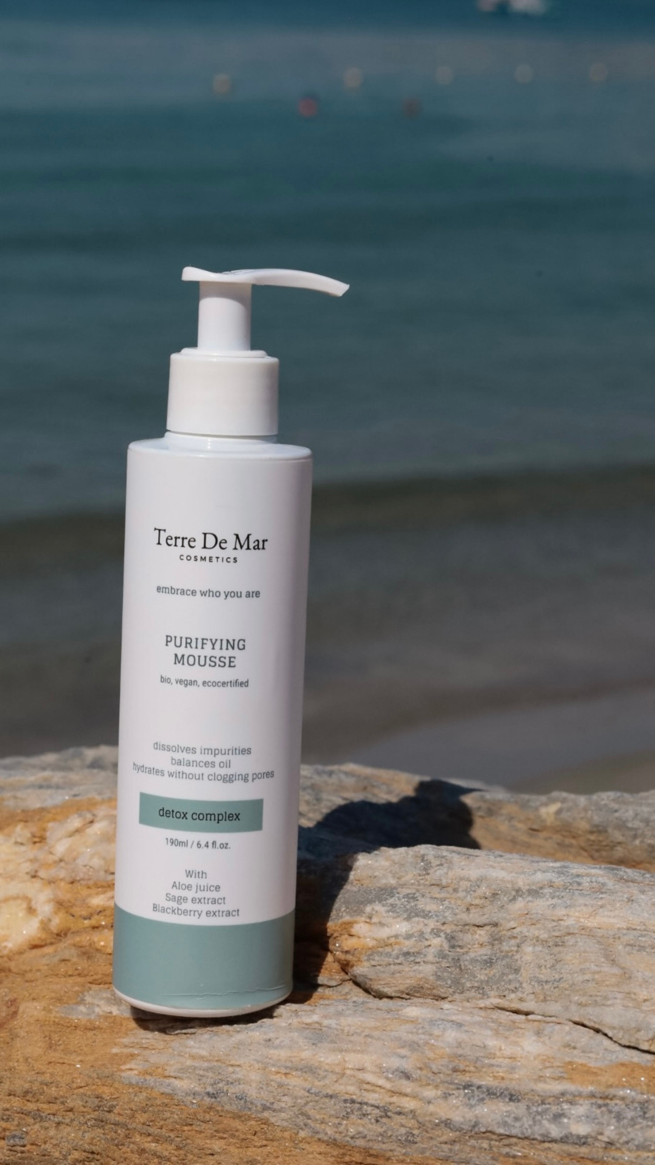 Purifying Mousse